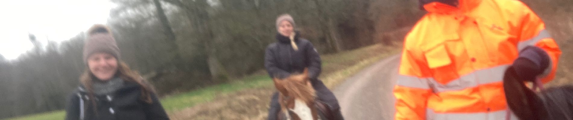 Trail Horseback riding Domèvre-sur-Vezouze - Jess elo Kenzo Julie migneville  - Photo