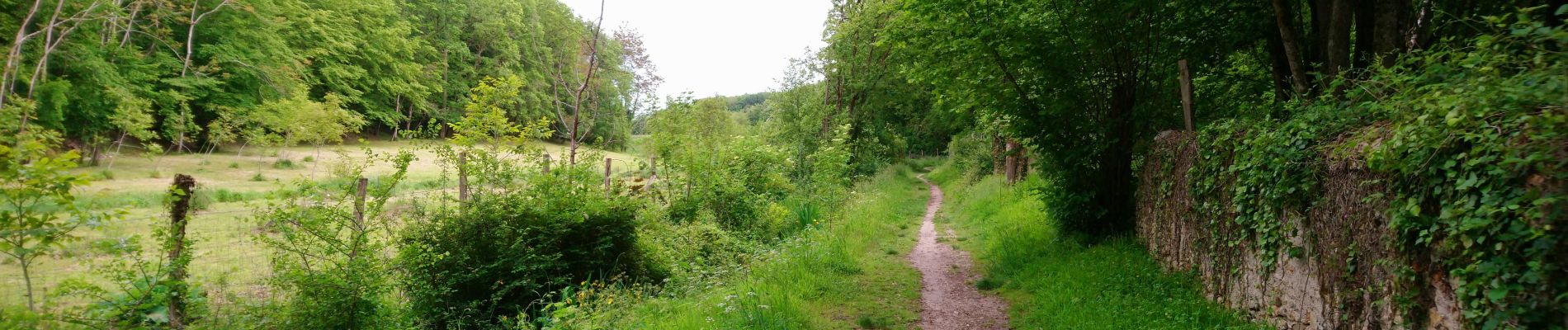 Trail Walking Savonnières - Savonnières - variante Sentier du Grand Moulin - 12.1km 120m 2h30 - 2021 05 29 - Photo