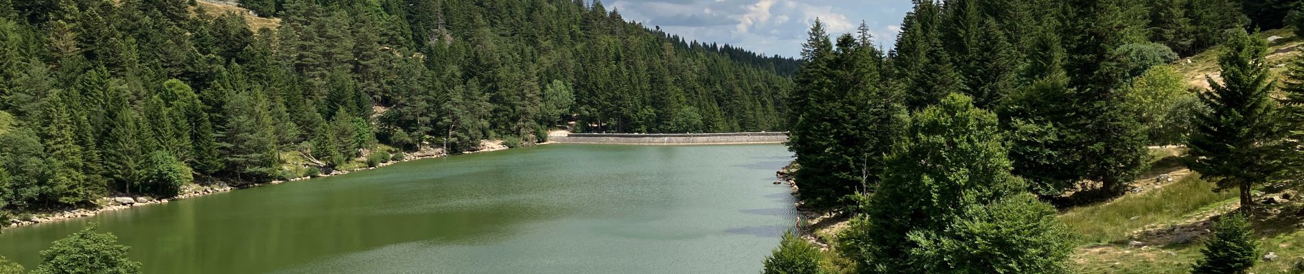 Tour Wandern Sulzern - Lac vert forlet - Photo