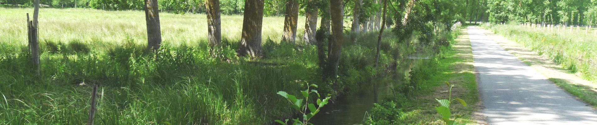 Randonnée Marche Magné - St Macrine_8,1km - Photo