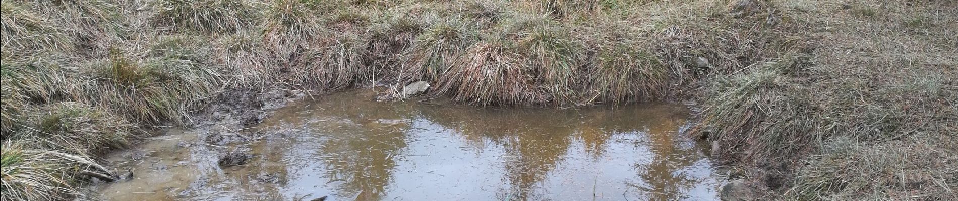 Tocht Stappen Crots - la Draye 301021 - Photo