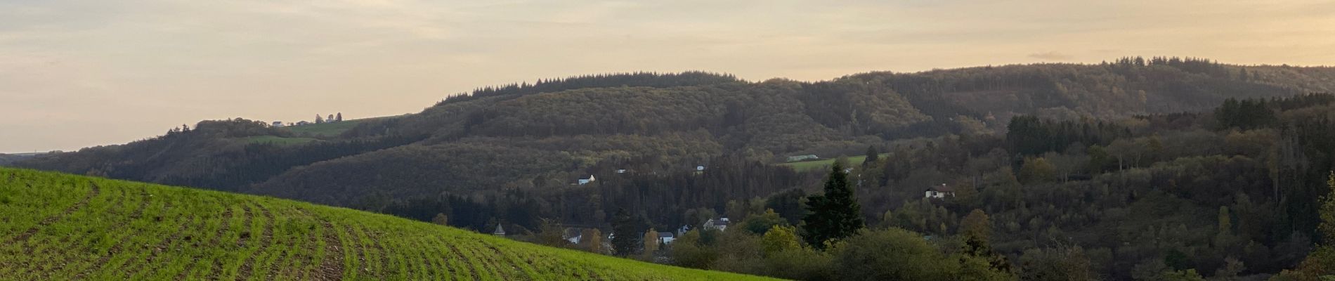 Randonnée Marche Kiischpelt - Enscherange 8,2 km - Photo