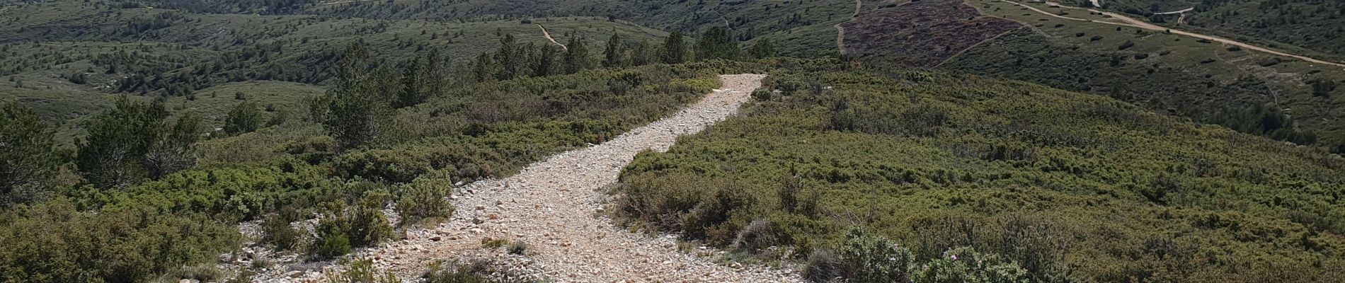 Randonnée Marche Marseille - Grande étoile  - Photo