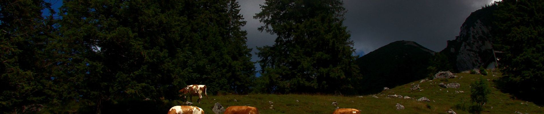 Randonnée A pied Aschau im Chiemgau - Wanderweg 20 - Über die Kampenwand zum Geigelstein - Photo