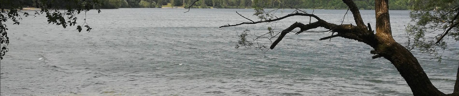 Excursión Senderismo Le Lac-d'Issarlès - Tour du lac d'Issarlès - Photo