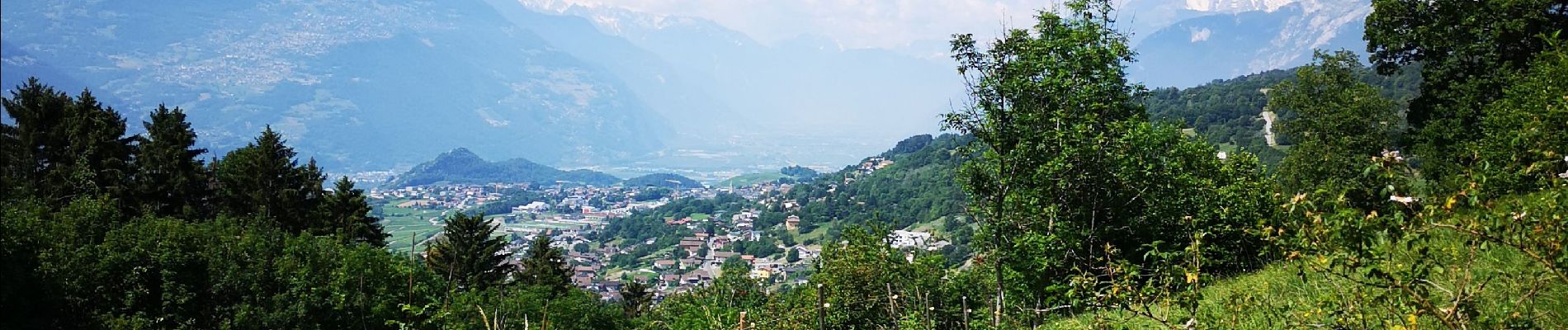 Trail Nordic walking Arbaz - 25.06.20 Bisse de Grimisuat  - Photo