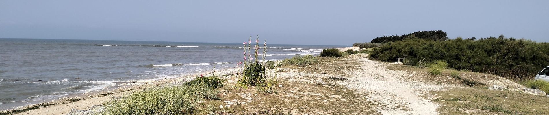 Tour Mountainbike Sainte-Marie-de-Ré - 17-vtt-ste-marie-rivedoux-la-flotte-st-martin-39km - Photo