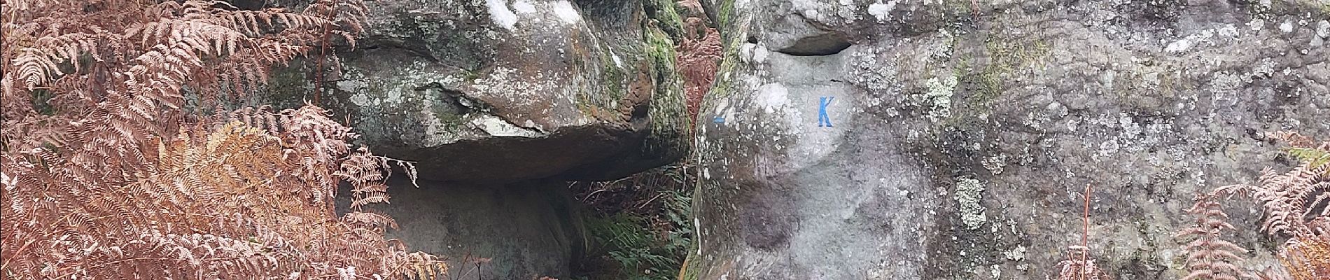 Point d'intérêt Fontainebleau - K - Rocher d'Estelle et Nérorin - Photo