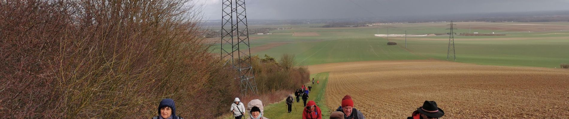 Percorso Marcia Laines-aux-Bois - Laine au bois - Photo