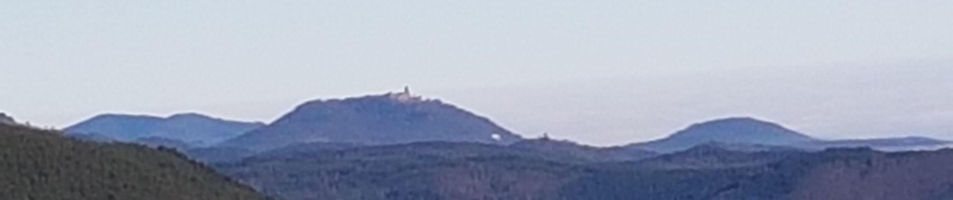 Excursión Senderismo Ammerschwihr - Trois-Epis - château du Petit Hohnack - Photo