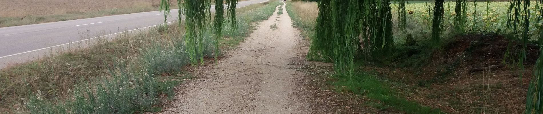 Excursión Senderismo Boadilla del Camino - Villalcazar de Siga - Photo