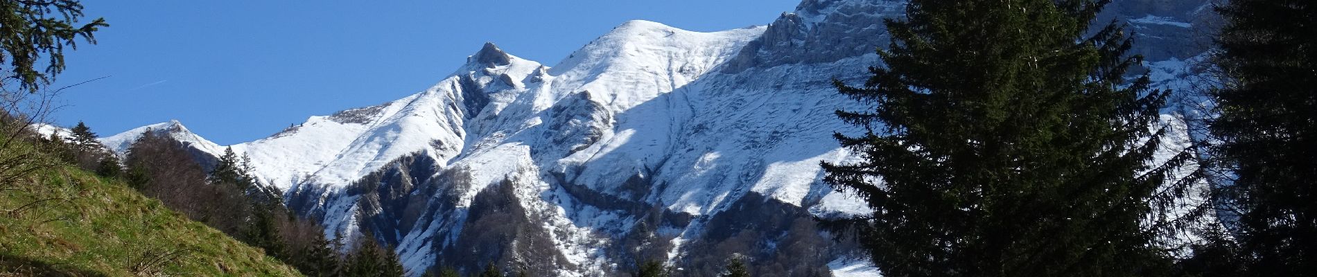 Randonnée Marche Jarsy - Croix d'Allant et Plan de la Limace  - Photo