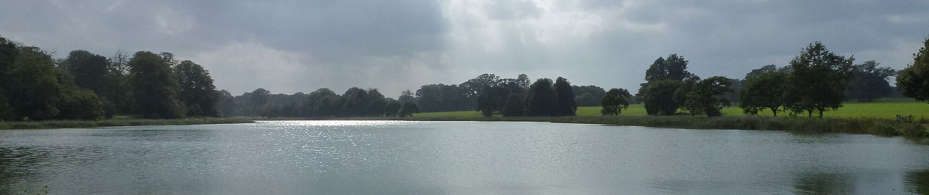 Tocht Te voet Broadland - Blickling Estate Green Route - Photo