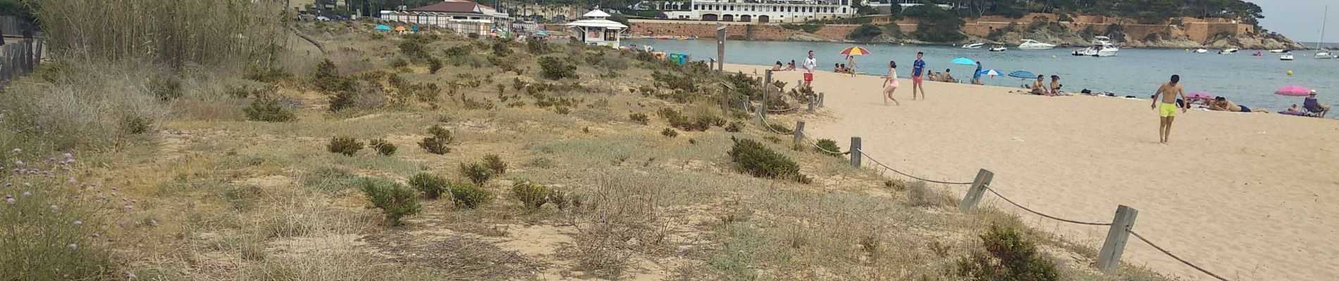 Excursión Senderismo Sant Feliu de Guíxols - Sagaro, Espagne Sa Conva - Photo