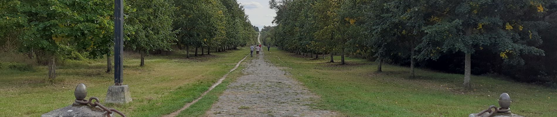 Randonnée Marche Fontainebleau - Perspective Maintenon  - Photo