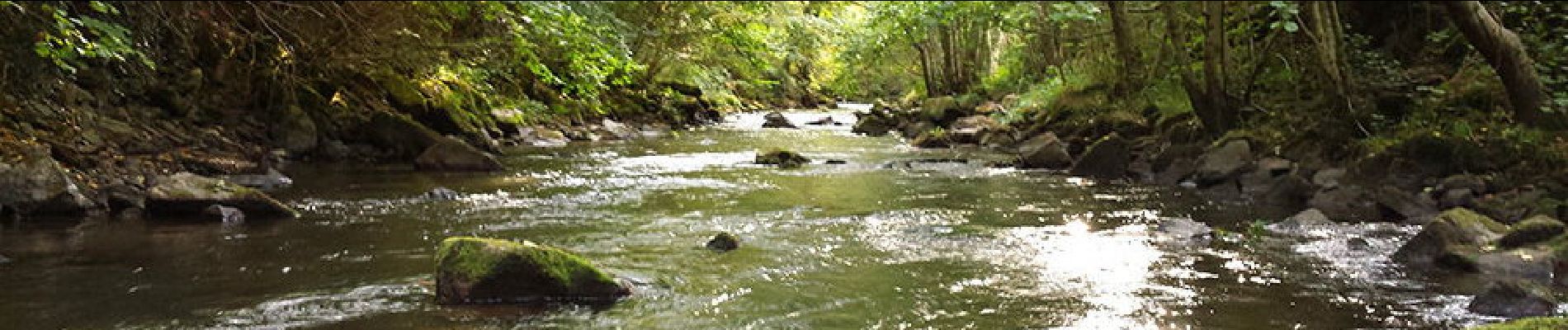 Randonnée Marche Chambon-sur-Lac - Chambon_Couze_Surains - Photo