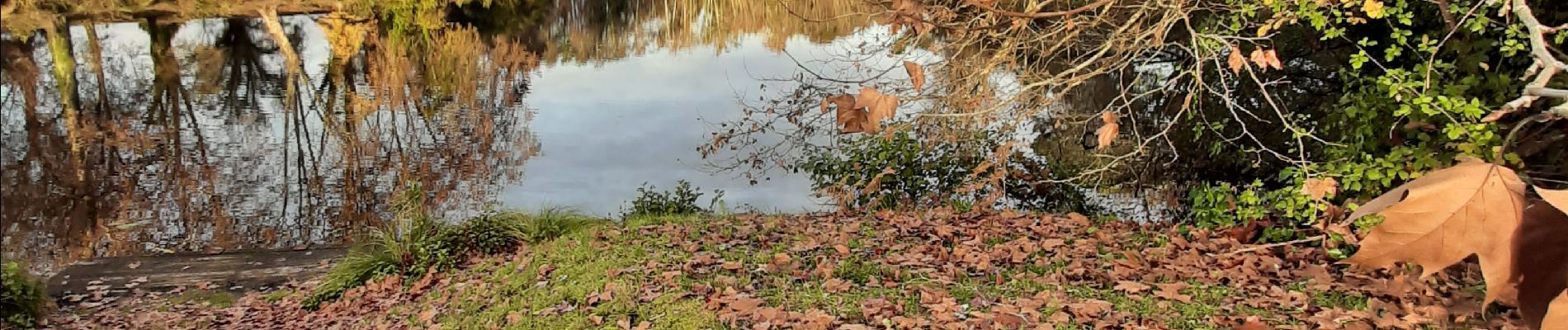 Randonnée Marche Pontenx-les-Forges - Pontenx-les-Forges - Photo