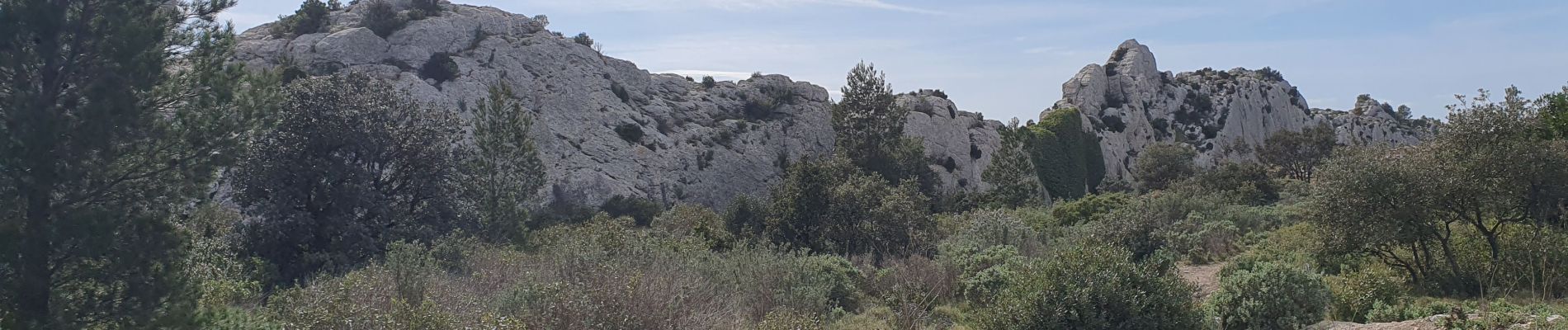 Excursión Senderismo Mouriès - mouries - Photo