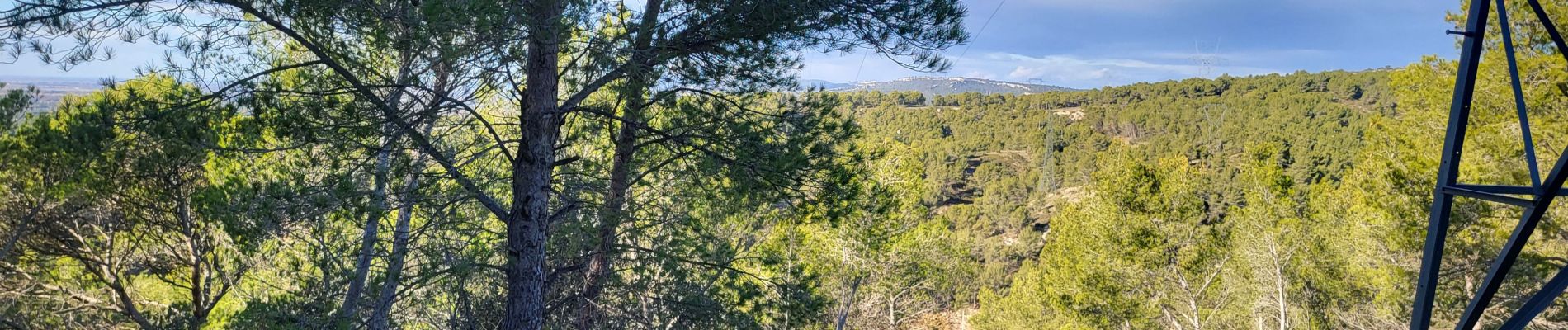 Tour Wandern Salon-de-Provence - Salon les bories de tallagard - Photo