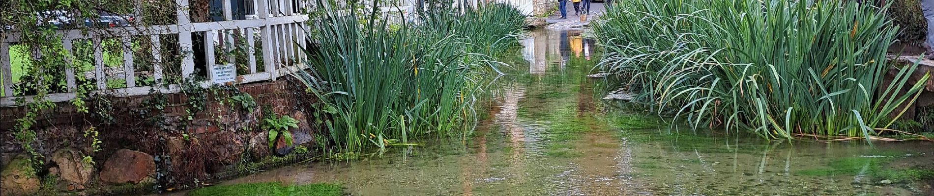 Percorso Marcia Sotteville-sur-Mer - Veules les roses du 25/092022 - Photo