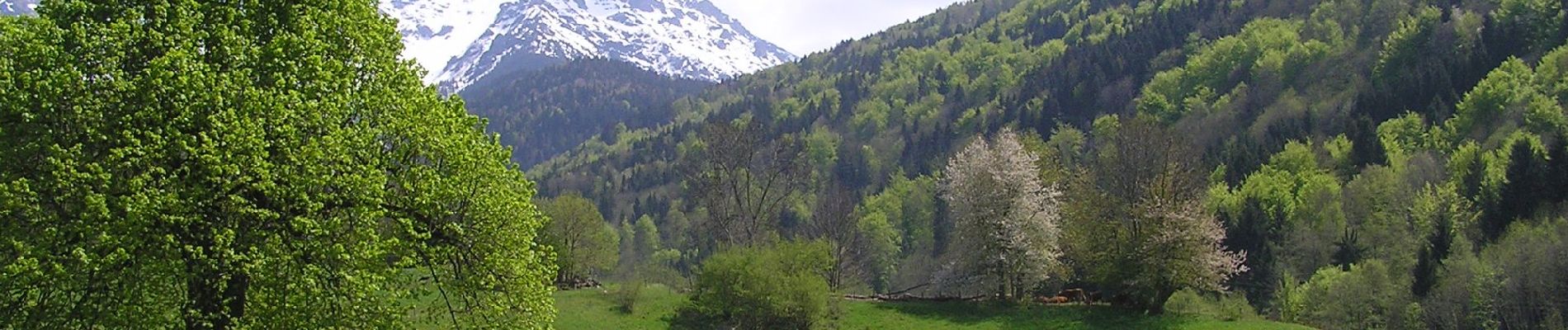 Randonnée A pied La Combe-de-Lancey - Chemin de Découverte (boucle Haute) - Photo