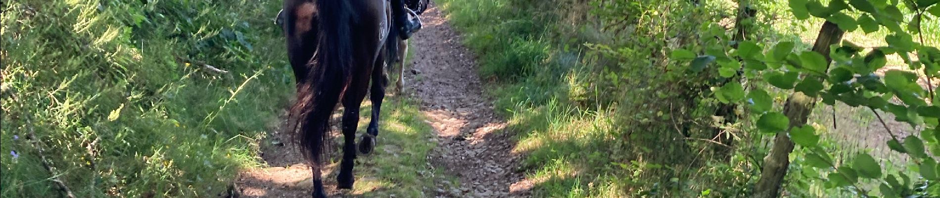 Trail Horseback riding Montsauche-les-Settons - 1er jour lac des settons  - Photo