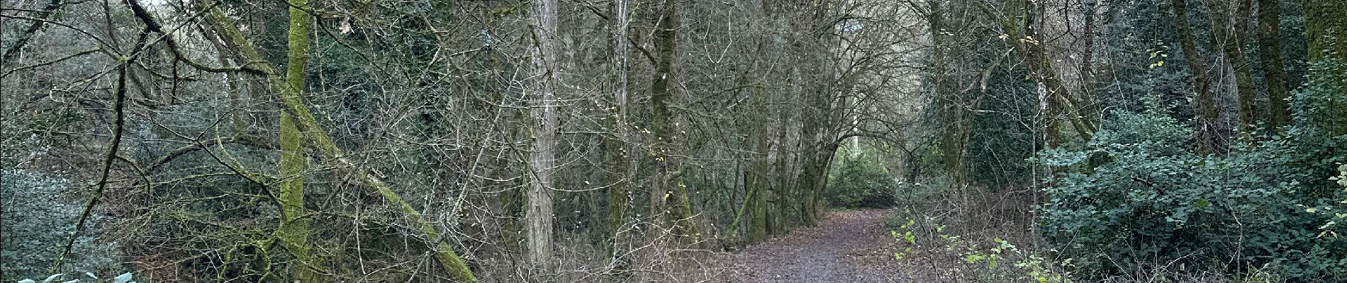 Randonnée Marche Méounes-lès-Montrieux - MONTRIEUX LE GAPEAU - Photo