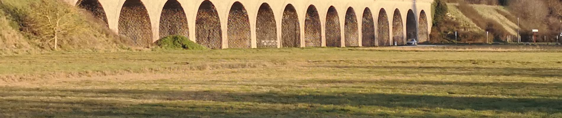 Tour Wandern Vineuil - Vineuil le viaduc via la Noue Château de Ménard  - Photo