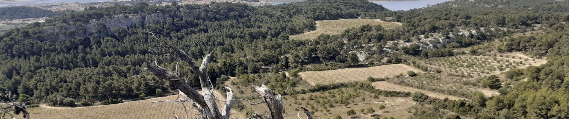 Randonnée Marche Gruissan - Gruissan le trou de l'oreille  - Photo