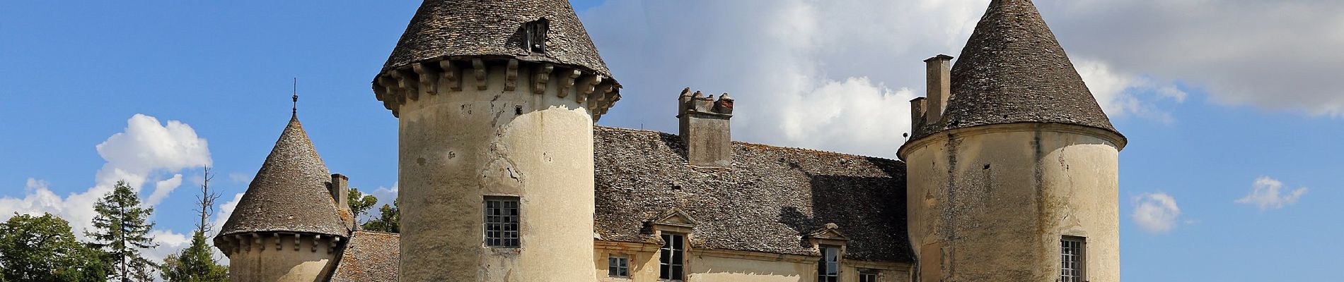 Percorso A piedi Savigny-lès-Beaune - Chemin des Vignes - Photo