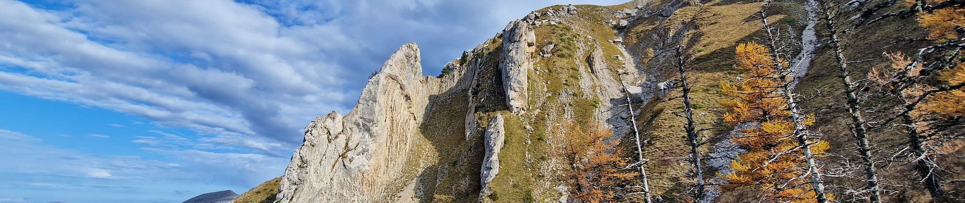 Tour Wandern Saint-Baudille-et-Pipet - Des Lames d'Arçon au Col de l'Aiguille - Photo