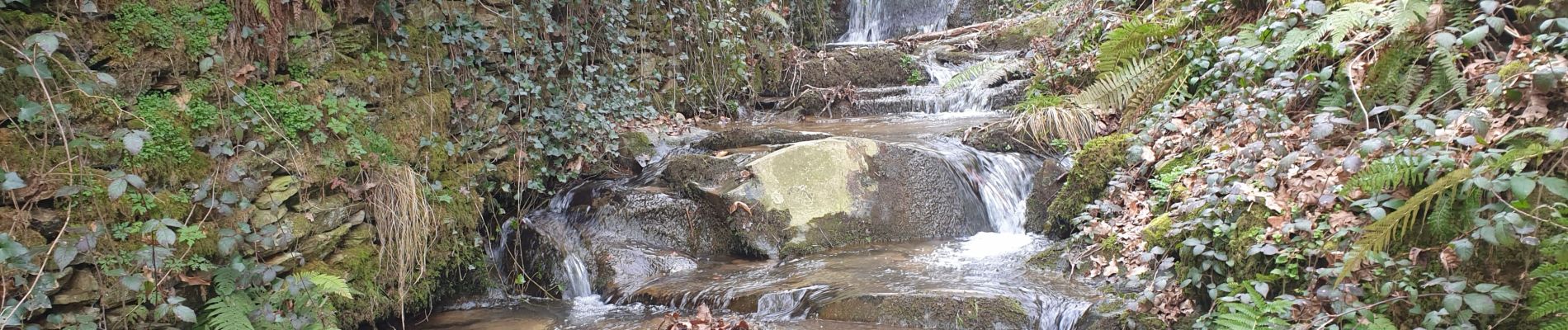 Randonnée Marche Coupiac - coupiac in live - Photo