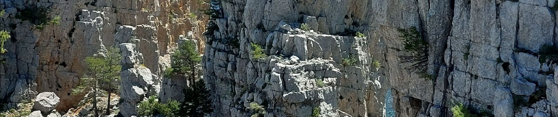 Randonnée Marche Castellane - les cadieres de Brandis  - Photo