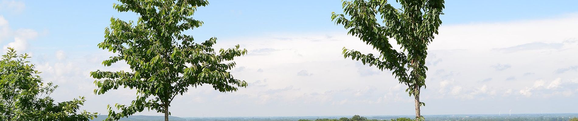 Tour Zu Fuß Sonsbeck - Geowanderweg Sonsbeck - Photo