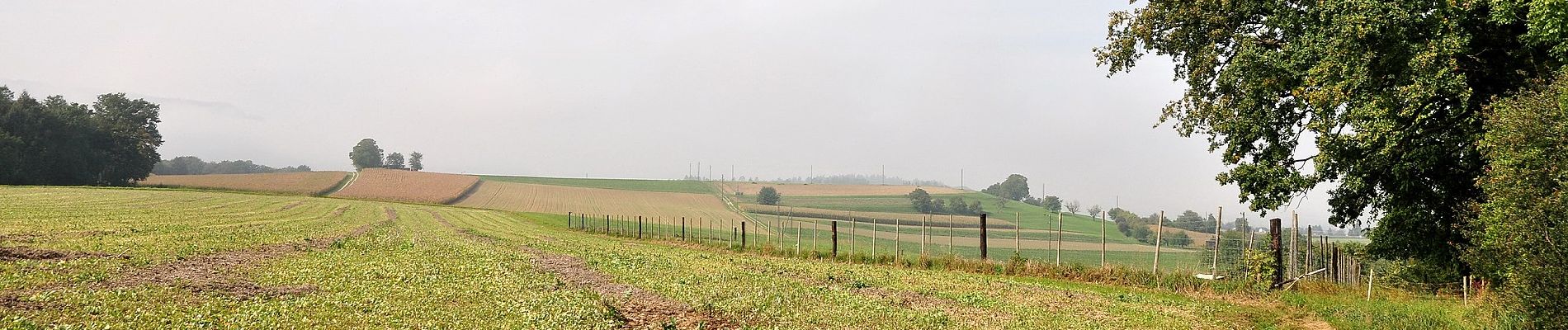 Tour Zu Fuß Volken - Volken - Andelfingen - Photo