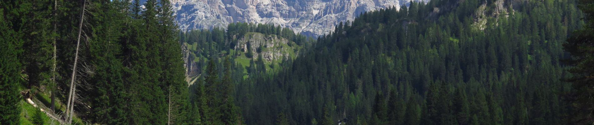 Tour Wandern Auronzo di Cadore - Giro del Lago di Musurina - Photo