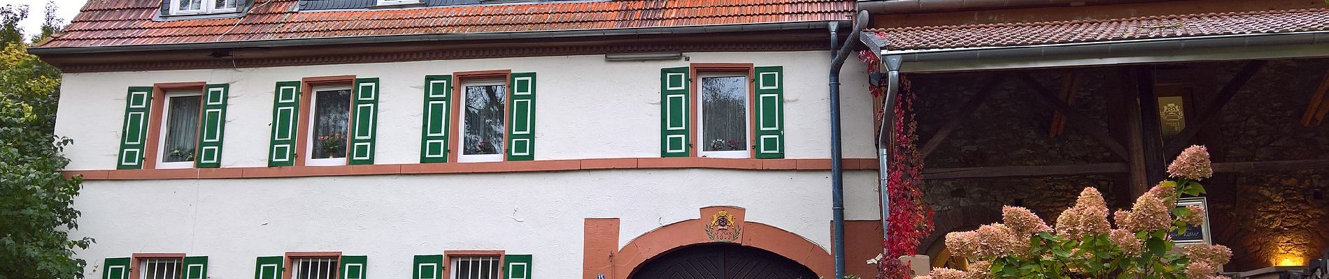 Percorso A piedi Groß-Umstadt - Rundwanderweg Groß-Umstadt 1: Umstädter Panoramarunde - Photo