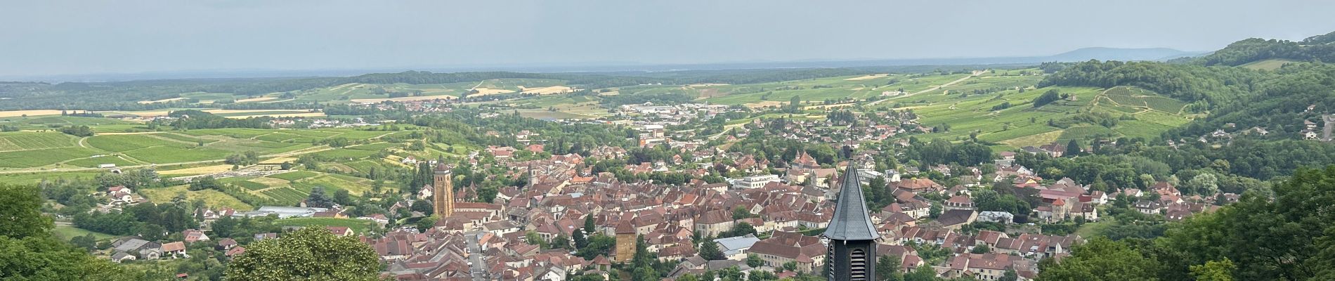 Trail Walking Arbois - Arbois  - Photo