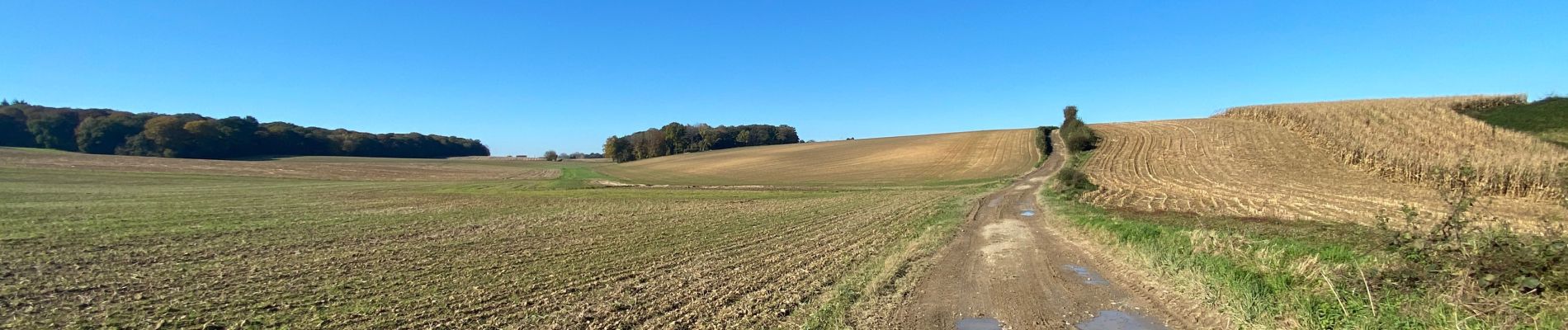 Tour Wandern Gerpinnes - Wagnèe Fromiée  - Photo