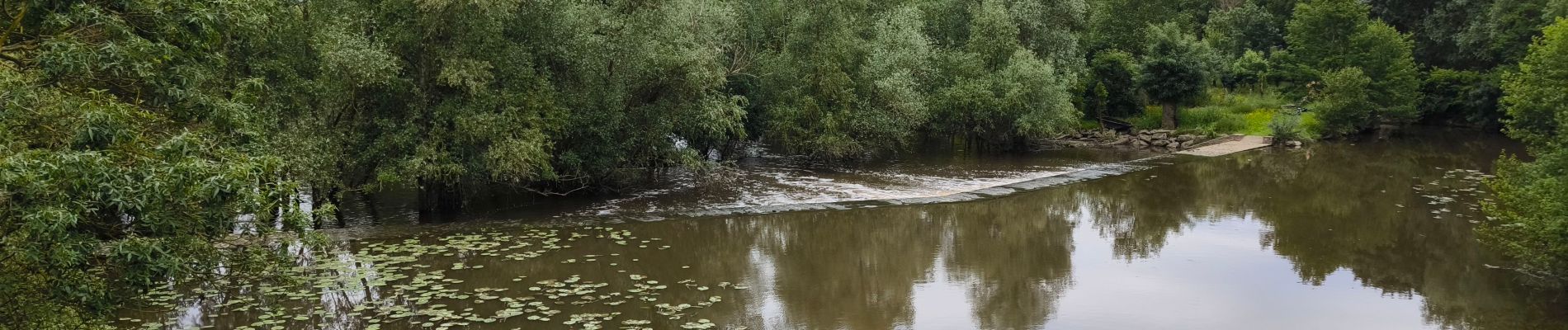 Trail Walking Mauges-sur-Loire - Saint Florent le Vieil  - Photo