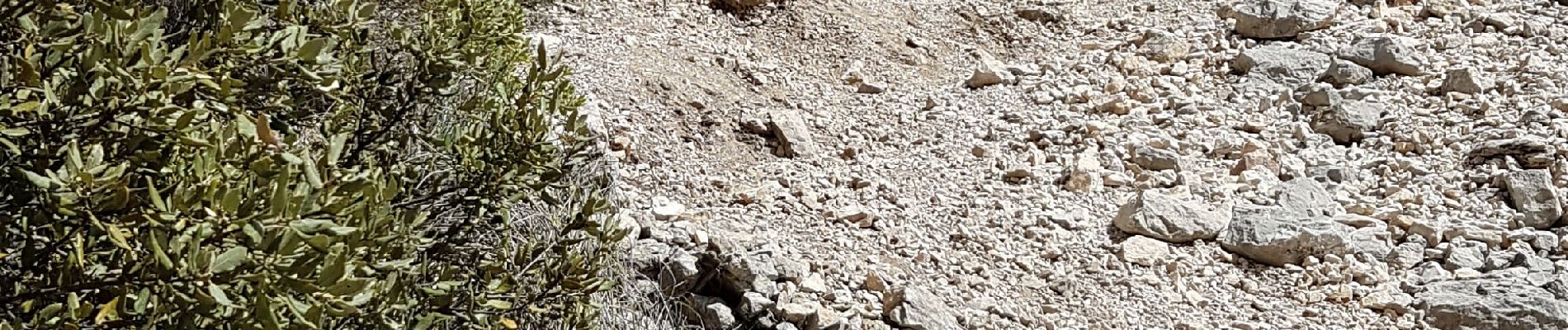 Excursión Senderismo Puyloubier - Puyloubier Ste Victoire, pic des mouches - Photo