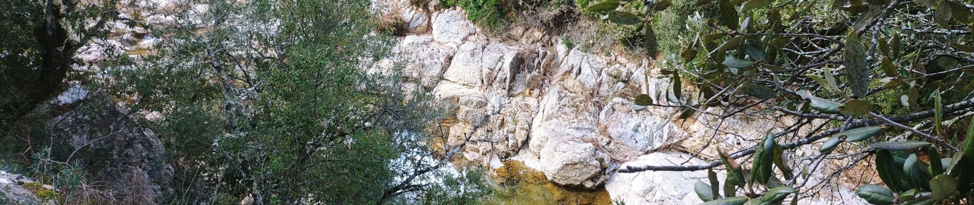 Excursión Senderismo Flayosc - Le hameau de Sauveclare - Photo