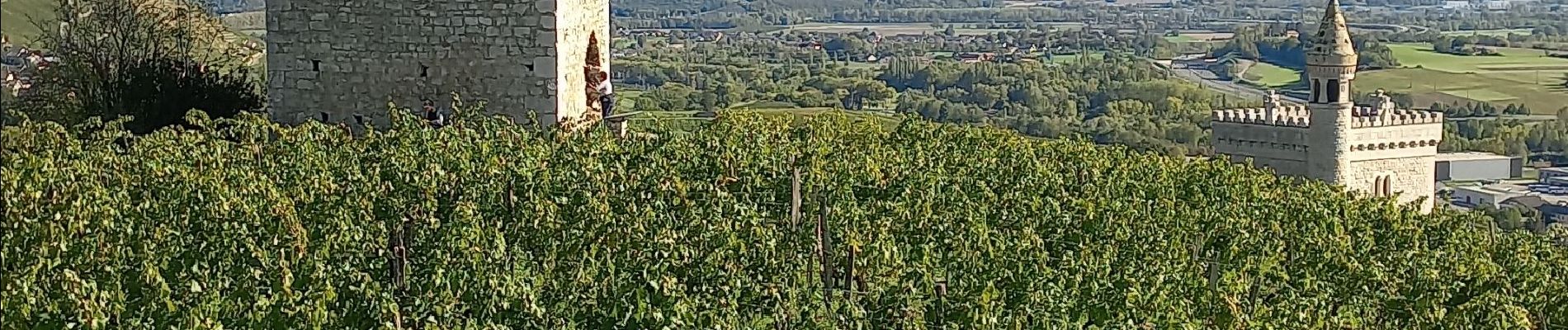 Tocht Stappen Chignin - rando dans les vignes autour de chignin - Photo