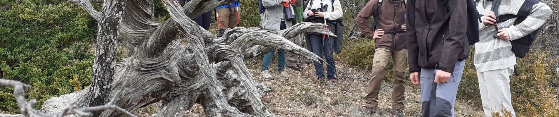 Tour Wandern Rougon - rougon gr49 pont de carajuan - Photo