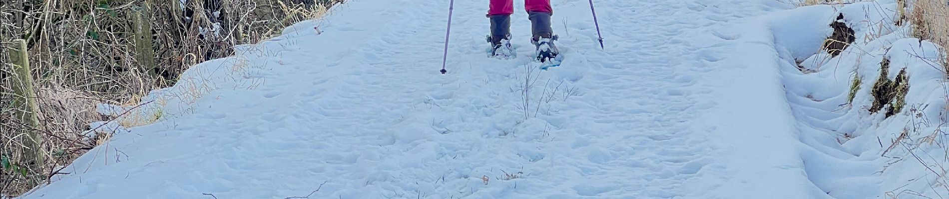 Randonnée Raquettes à neige Tubize - Sortie raquettes dans la réserve Natagora du Coeurcq - Photo