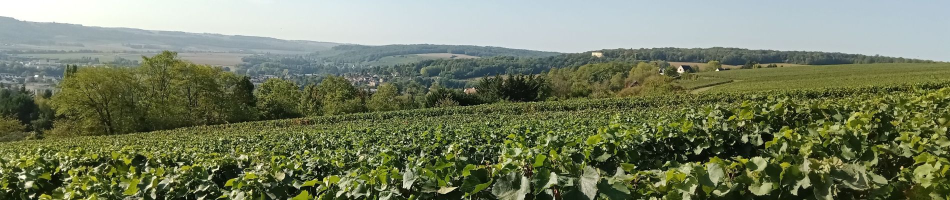 Tour Wandern Château-Thierry - Randonnée Rose. Reconnaissance du 18-09-2022 - Photo