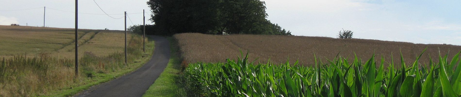 Tocht Te voet Kalletal - Ilsetal Rundweg A1 - Photo