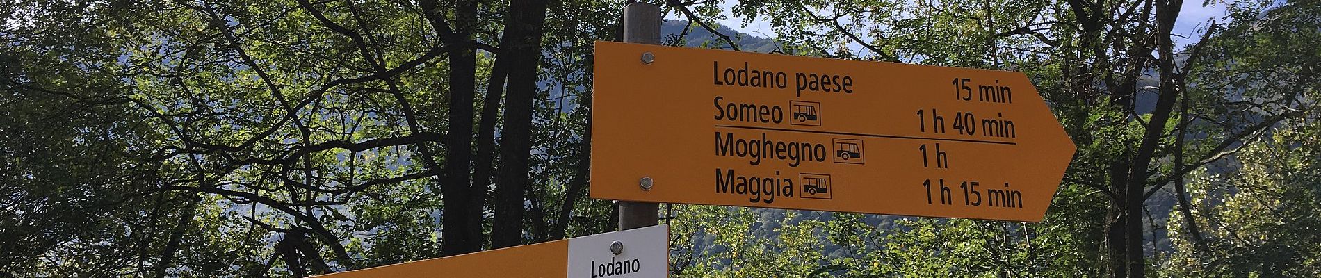 Percorso A piedi Maggia - Lodano - Maggia - Photo