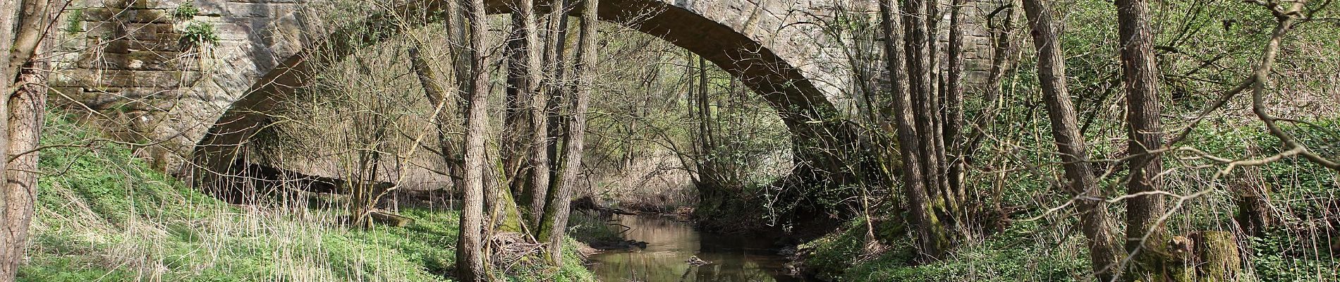 Randonnée A pied Seßlach - Rund um den Christenstein - Photo