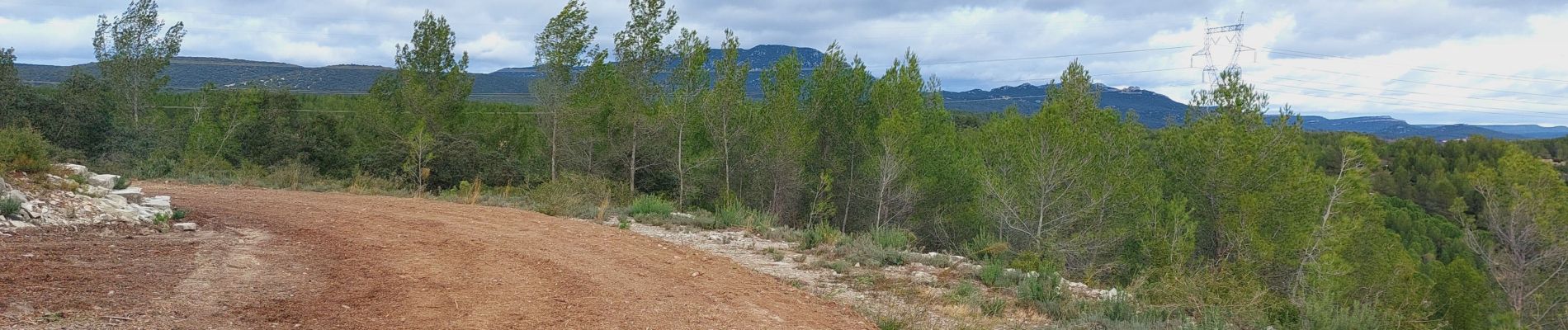 Tocht Stappen Saint-Clément-de-Rivière - St Clément de Rivière  - Photo